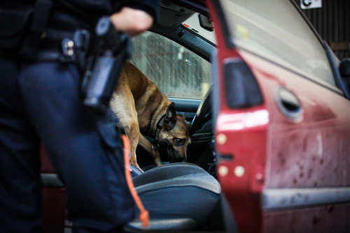 Illegal Search & Seizure Pennsylvania