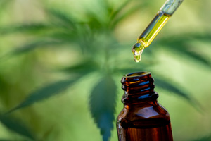 cbd oil