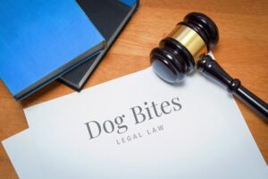 Dog Bites. Document with label. Desk with books and judges gavel in a lawyer's office.